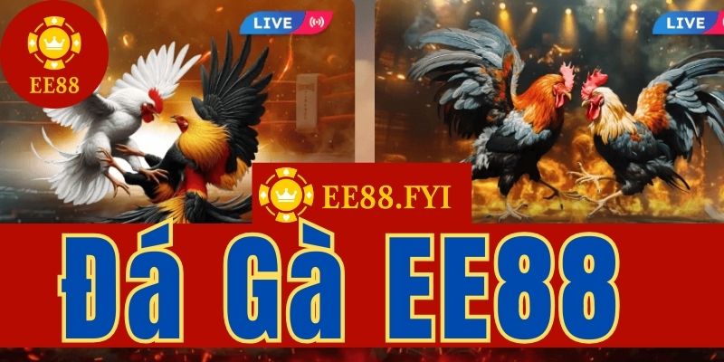 da ga ee88 huong dan tham gia ca cuoc da ga ga28 va ws168 1 da ga ee88 huong dan tham gia ca cuoc da ga ga28 va ws168 1